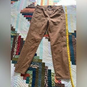Curve Appeal Women’s Minimalist Tummy Tuck Jeggings in Brown Size 8/29